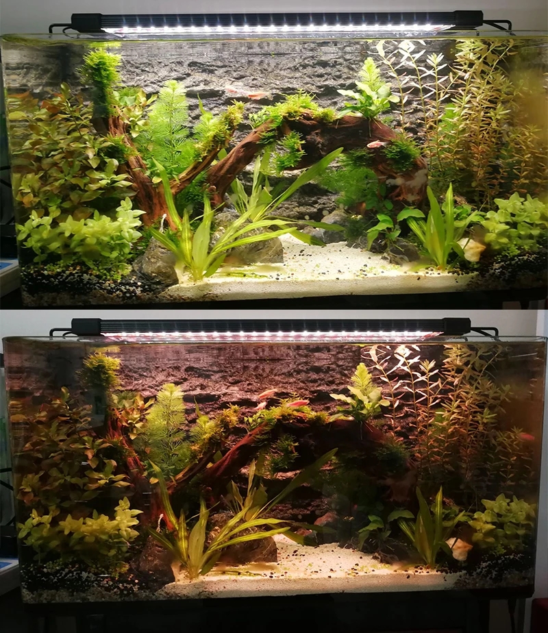Aquarium LED Lighting 24/7 Hou - Marine Aquarium Hours recension och pris