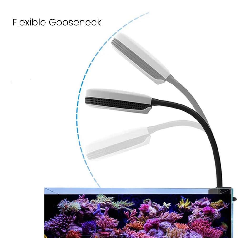 Spectra SP20 20W Aquarium LED  - Aquarium Marine Fishes recension och pris