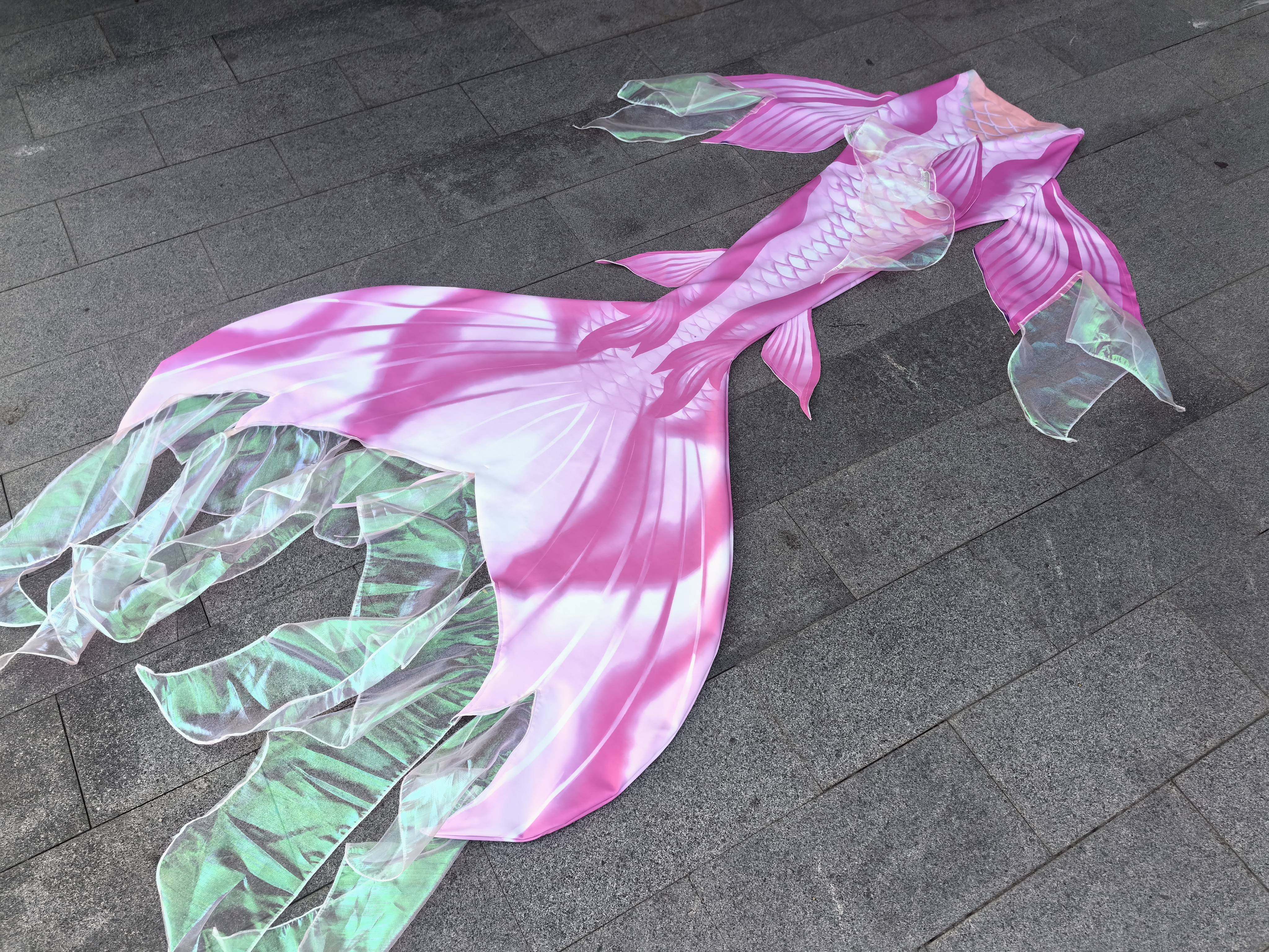 Mermaid Tail Swimsuit Aquarium - Aquarium & Marine Museum Kota Kinabalu recension och pris