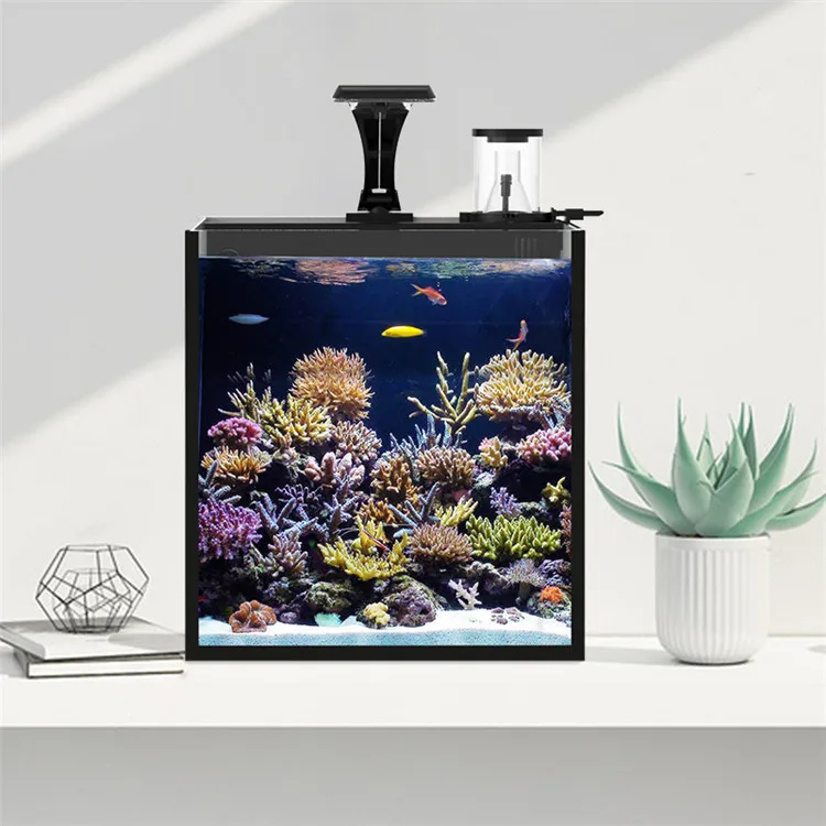 Latest Model Clear Glass Mini  - Aquarium Marine Salt recension och pris