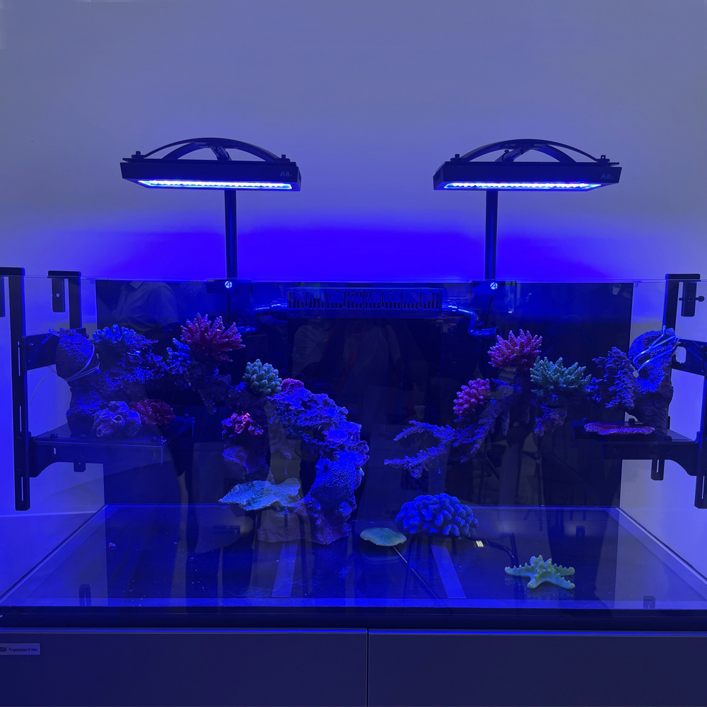 AIPAI A8se II Max A8se II Blue - Aquarium Blue Marine Reef recension och pris