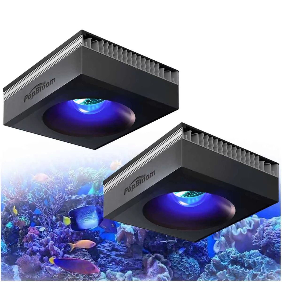 PopBloom RL90 WiFi Reef Aquari - Aquarium Marine Fishes recension och pris