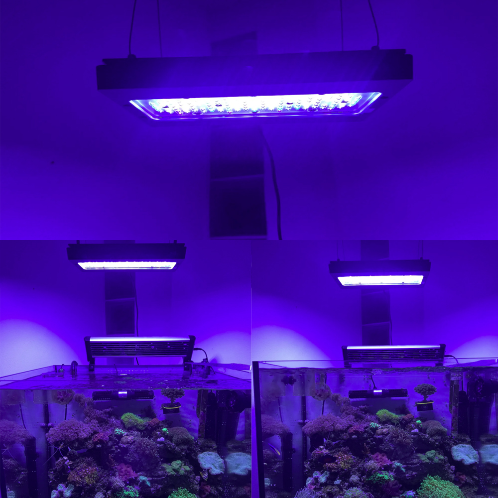 A8SE pro II MAX Blue 240W Mari - Aquarium Blue Marine Reef recension och pris