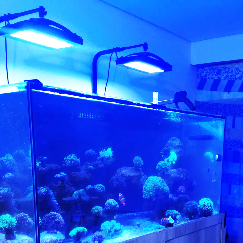 A8SE pro II MAX Blue 240W Mari - Aquarium Blue Marine Reef recension och pris