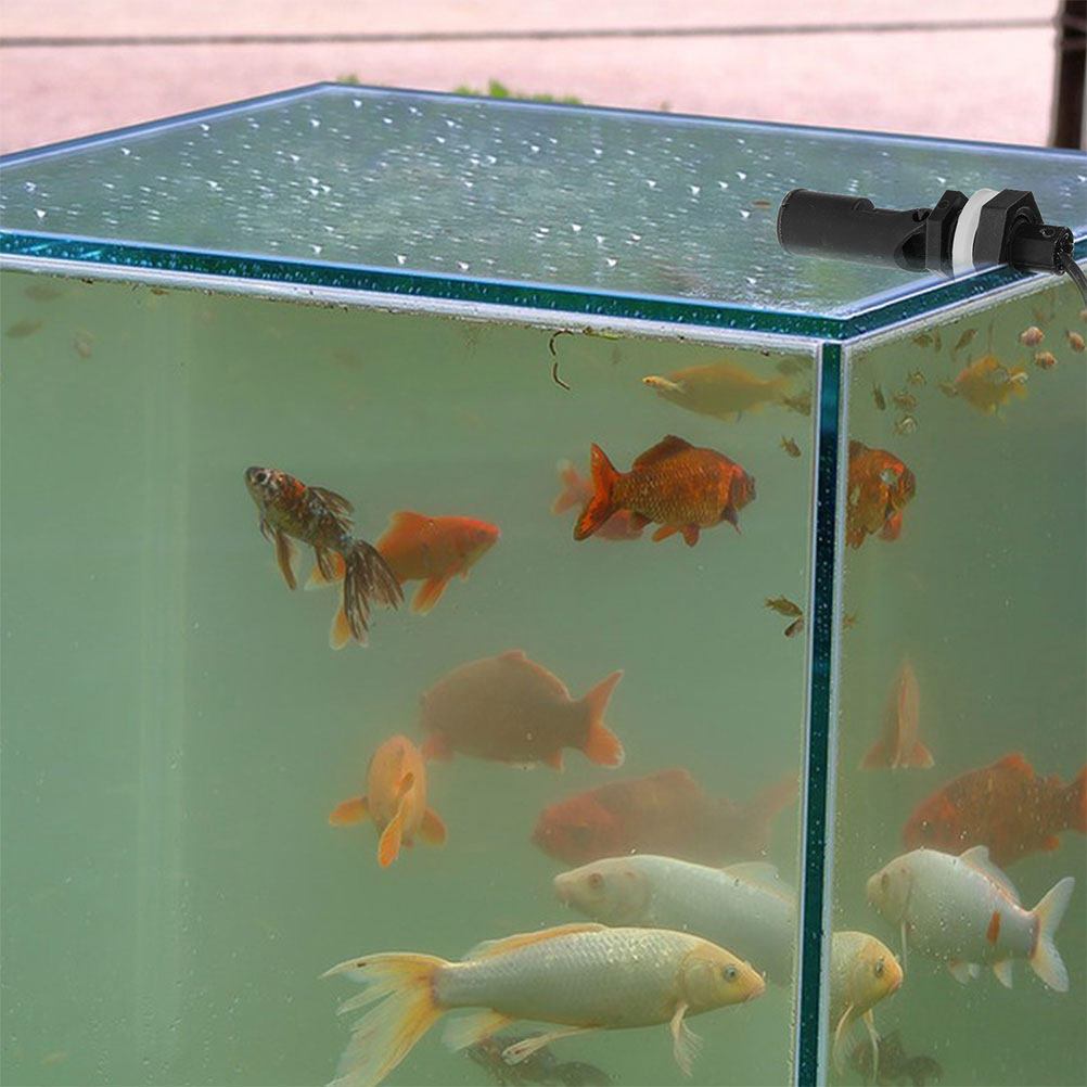 3Pcs Plastic Float Switch Side - Aquarium & Marine Museum Kota Kinabalu recension och pris