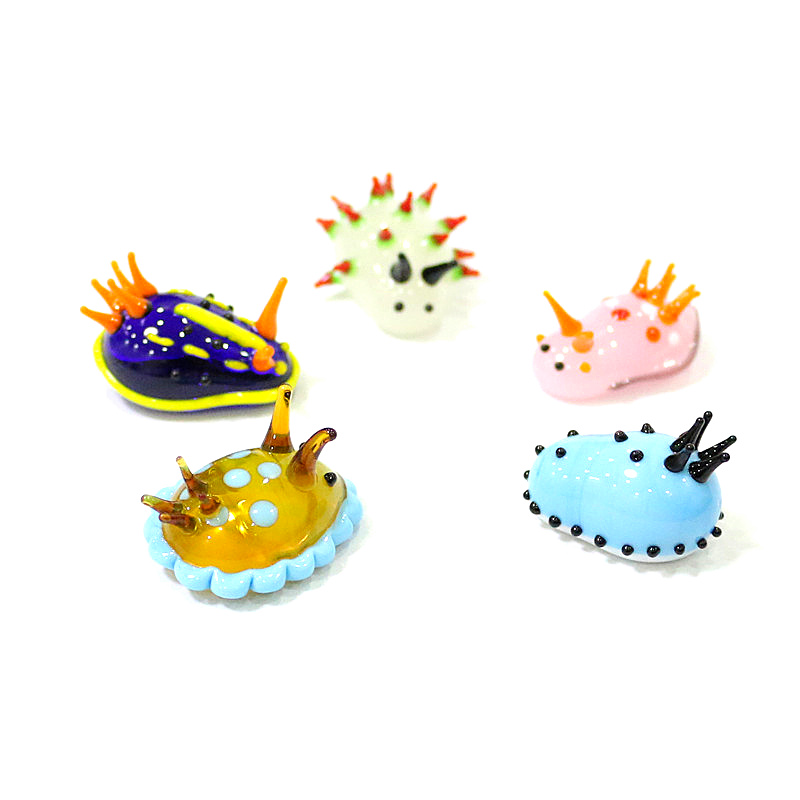 Rare Cute Mini Marine Molluscs - Marine Aquarium Japan recension och pris