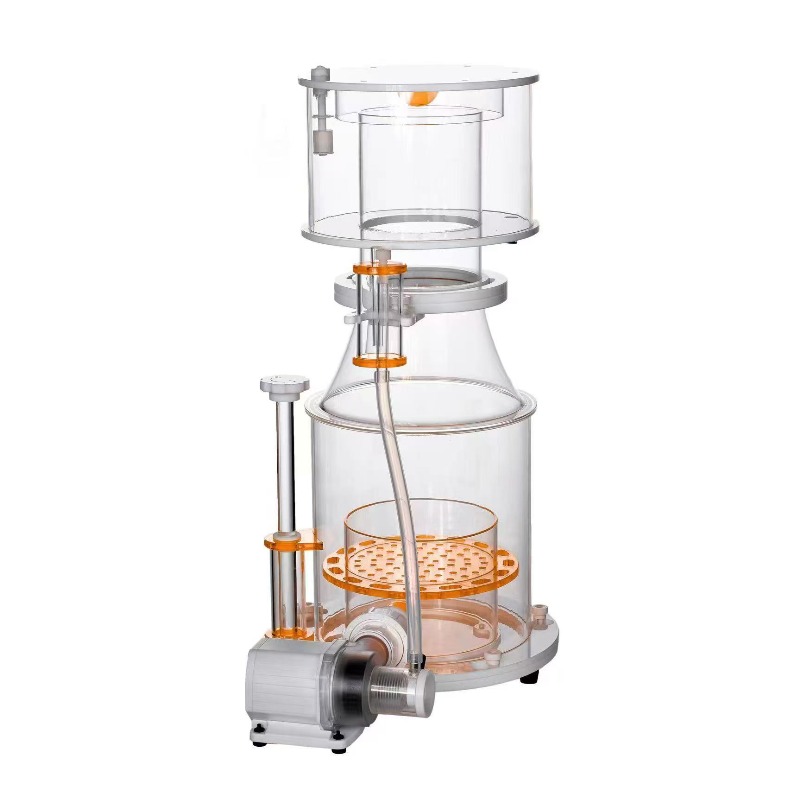 【Best-selling】DC Powered Preci - Aquarium & Marine Museum Kota Kinabalu recension och pris