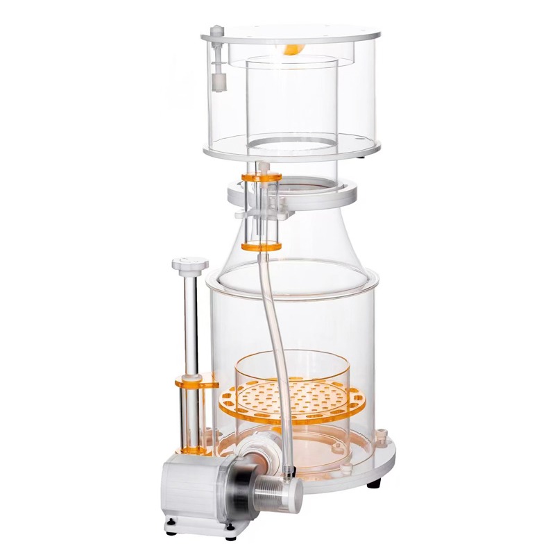 【Best-selling】DC Powered Preci - Aquarium & Marine Museum Kota Kinabalu recension och pris