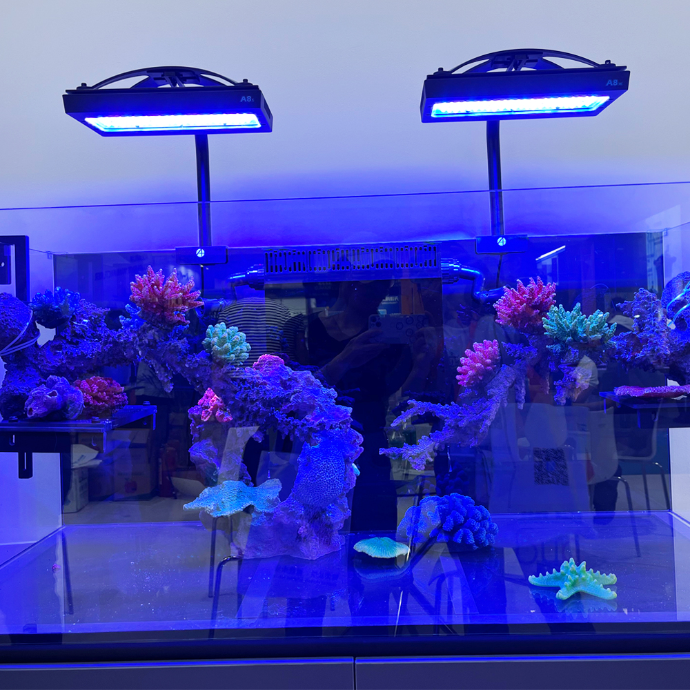 240W A8se II Max Blue Marine A - Aquarium Blue Marine Reef recension och pris