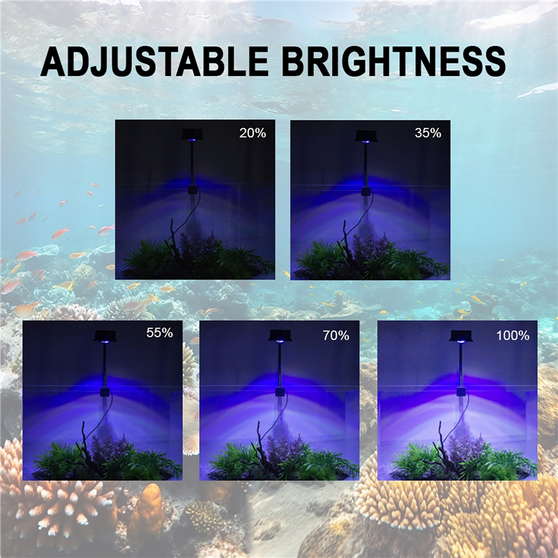 30W Aquarium Fish Tank Sea Wat - Aquarium Marine Fishes recension och pris
