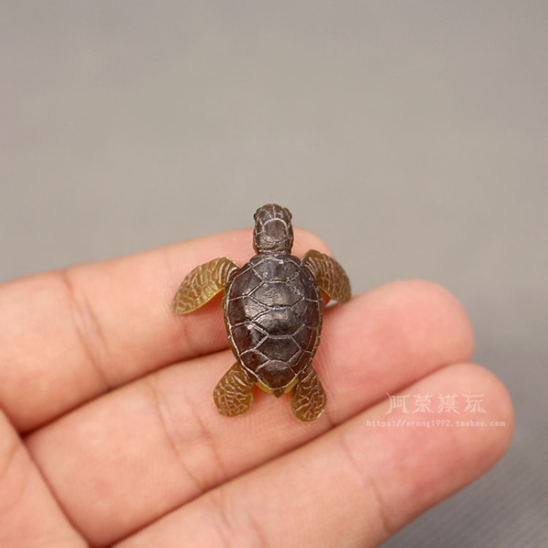 Marine Life Sea Turtle Model O - Marine Aquarium Japan recension och pris