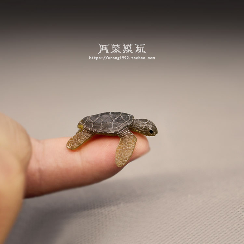 Marine Life Sea Turtle Model O - Marine Aquarium Japan recension och pris