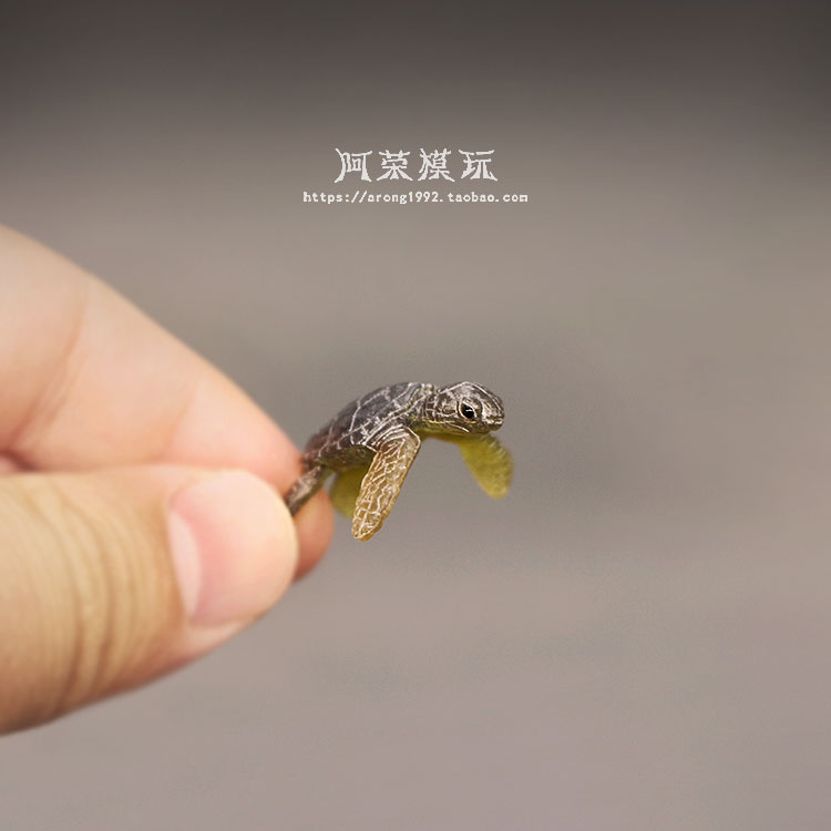 Marine Life Sea Turtle Model O - Marine Aquarium Japan recension och pris