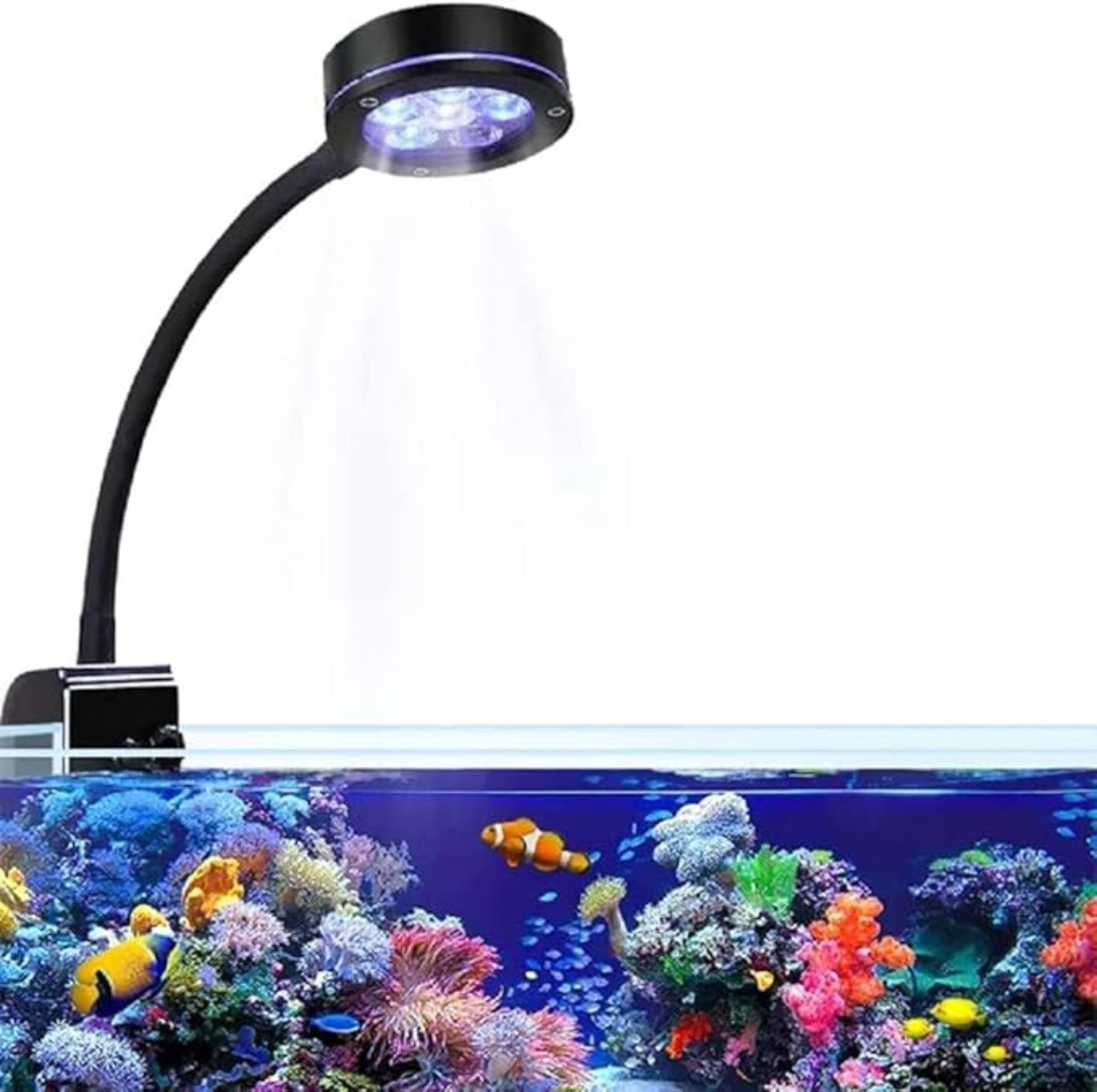 Aquarium LED Coral Reef Light  - Aquarium Blue Marine Reef recension och pris