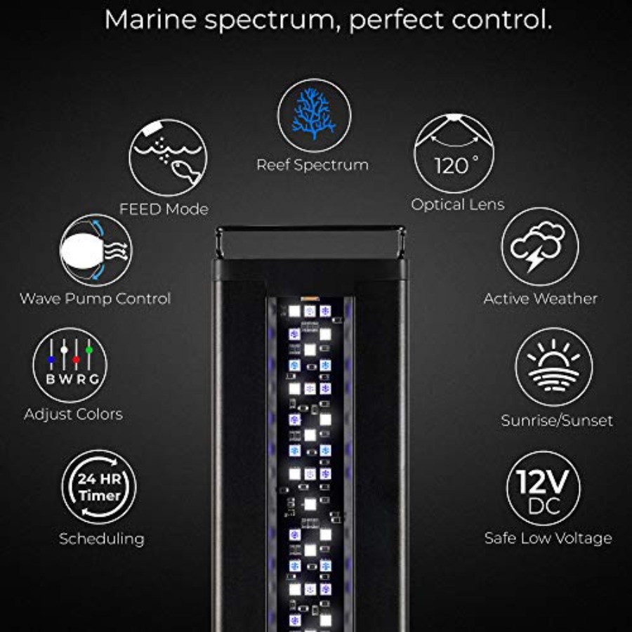 USA 48 - 60 Inch Orbit Marine  - Marine Aquarium Hours recension och pris