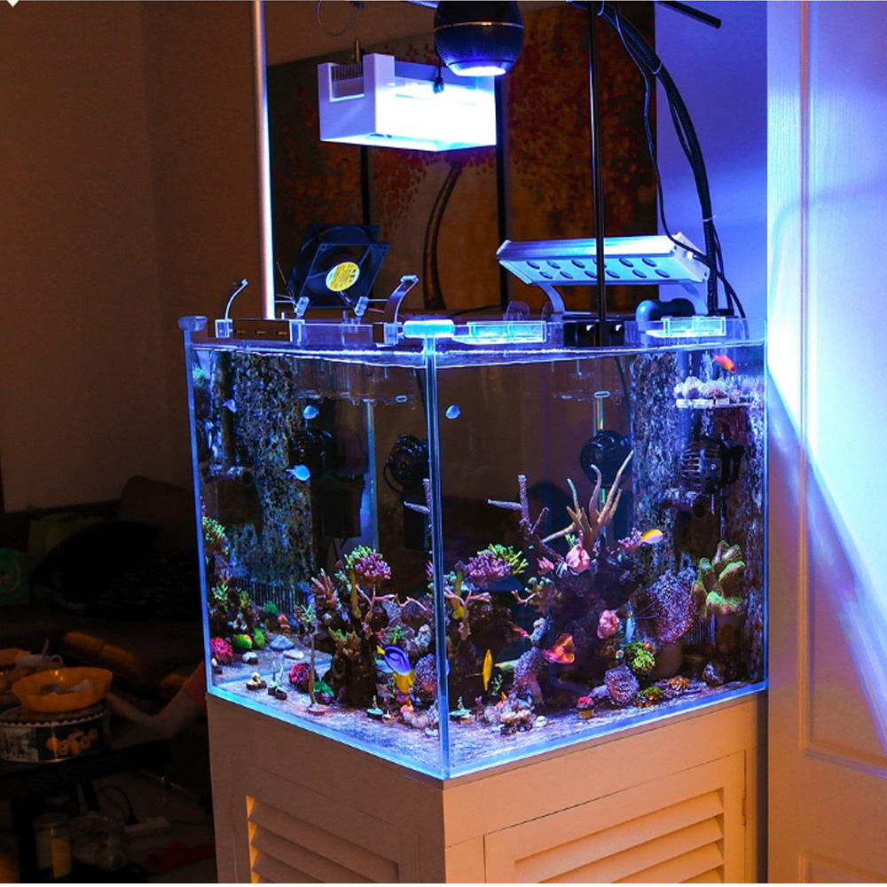 80W Full Spectrum Led Lights S - Aquarium Blue Marine Reef recension och pris
