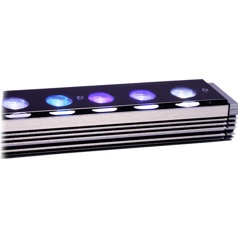 Reef Emitting Diode Aquarium 6 - Aquarium Blue Marine Reef recension och pris