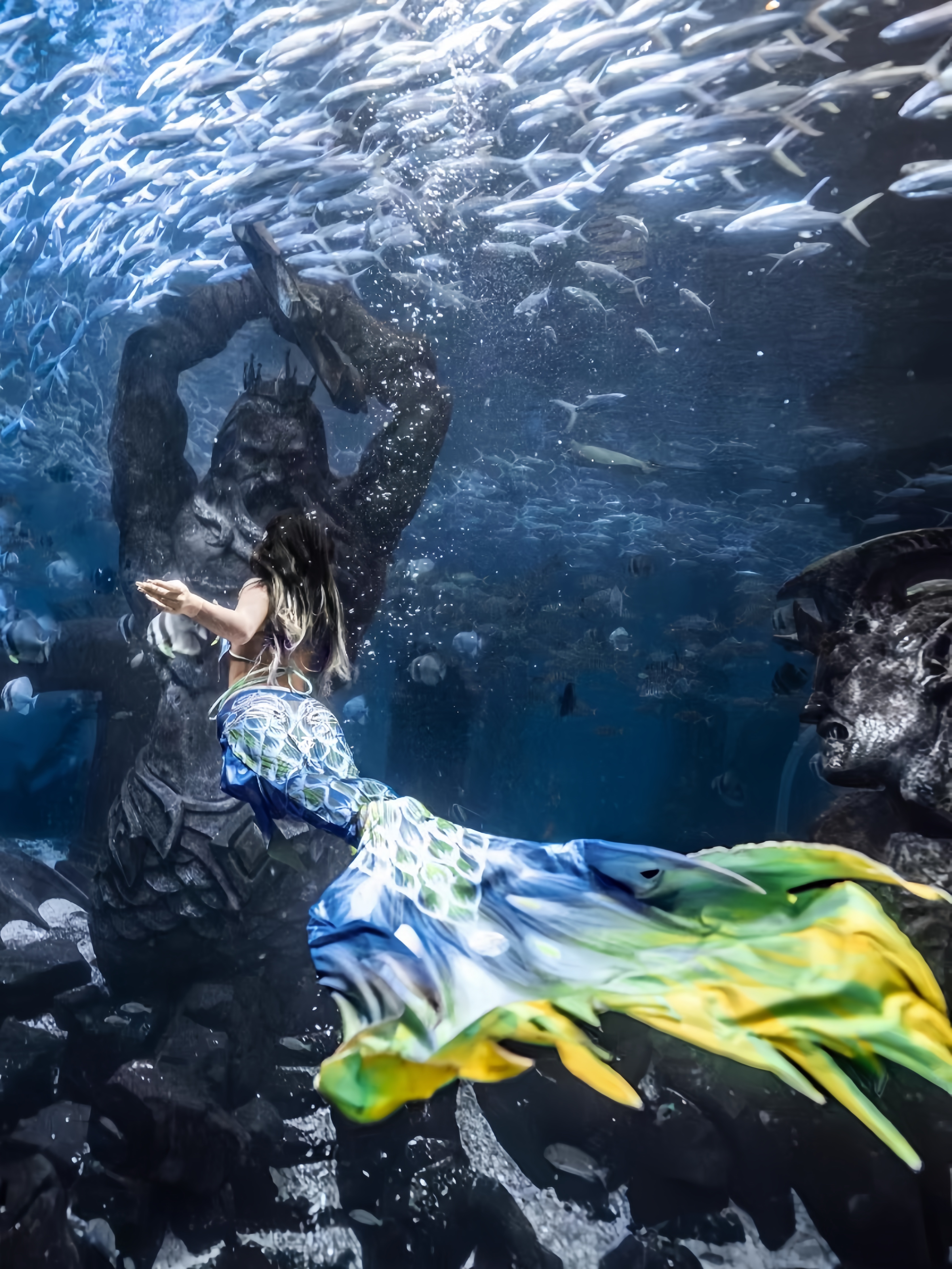Mermaid Tail Adult Ladies Swim - Aquarium & Marine Museum Kota Kinabalu recension och pris