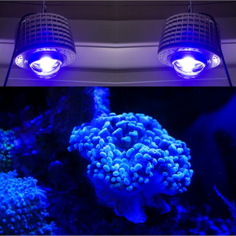 LED Aquarium Lighting Full Spe - Aquarium Blue Marine Reef recension och pris