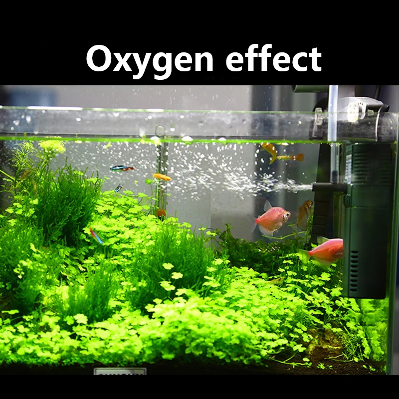 SUNSUN mini nano 111B 311B 611 - Aquarium Blue Marine Reef 60 recension och pris